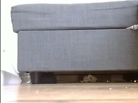 Squirtlady38 online show from March 20, 2025, 10:54 am