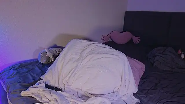 Snapshot of shey1i chatting on February 11, 2026, 6:19 pm shey1i online show from February 11, 2026, 6:19 pm