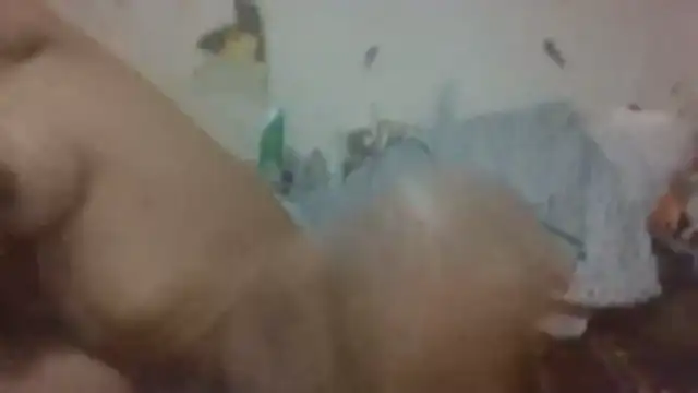 Snapshot of paradisejas chatting on March 12, 2026, 2:54 pm paradisejas online show from March 12, 2026, 2:54 pm