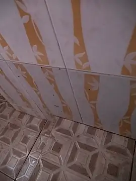 Sanjaymartin29 online show from January 10, 2025, 3:07 am