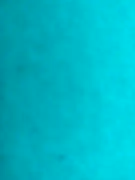 JRock69nKzoo online show from February 21, 2026, 12:29 pm