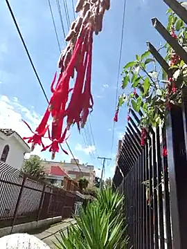 Sam Sara online show from January 9, 2026, 6:15 pm