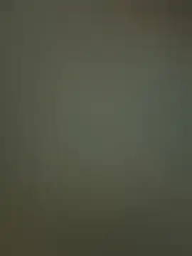 Sam Sara online show from February 19, 2026, 7:00 pm