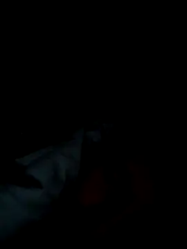 michele1500 online show from November 25, 2025, 9:37 pm