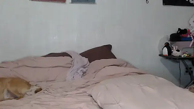 Snapshot of Cupcakecutie449 chatting on November 9, 2025, 8:07 am Cupcakecutie449 online show from November 9, 2025, 8:07 am