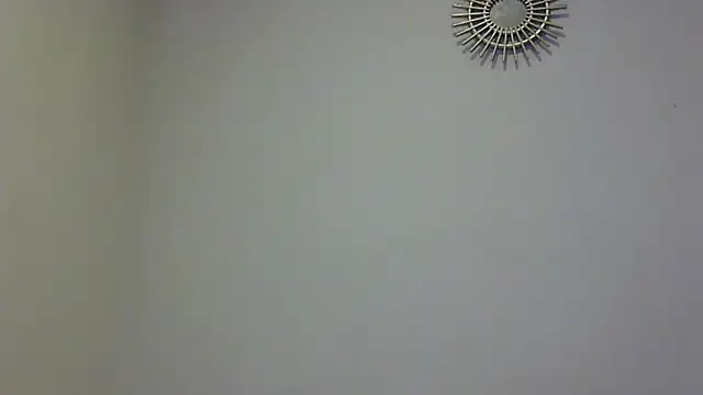 feline27 online show from November 11, 2025, 8:47 pm