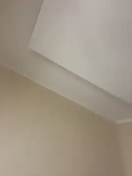 AnnGilbert online show from November 9, 2025, 10:25 pm