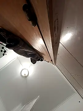 bruna safadinhaa online show from September 20, 2025, 11:59 am