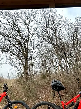 petrouchkaaa  online show from March 2, 2026, 9:38 am