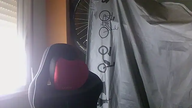 Snapshot of porkorossy chatting on May 28, 2026, 7:16 am porkorossy online show from May 28, 2026, 7:16 am
