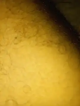 Snapshot of ALLDOMX chatting on April 16, 2026, 12:00 am ALLDOMX online show from April 16, 2026, 12:00 am