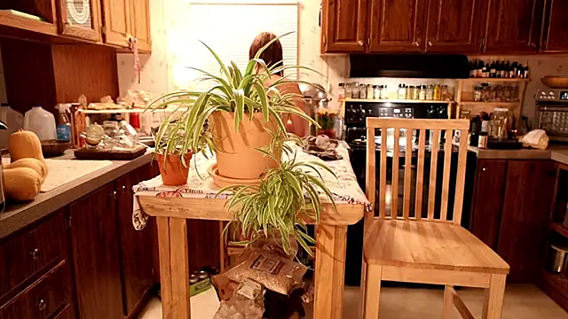 Snapshot of xxpixeyxx chatting on March 21, 2026, 11:58 am xxpixeyxx online show from March 21, 2026, 11:58 am