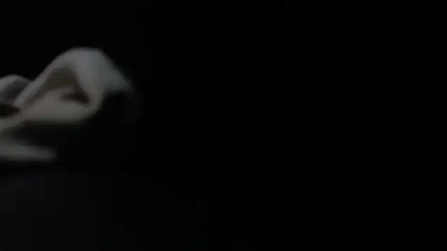 Snapshot of VARGAcz chatting on February 4, 2026, 1:50 pm VARGAcz online show from February 4, 2026, 1:50 pm