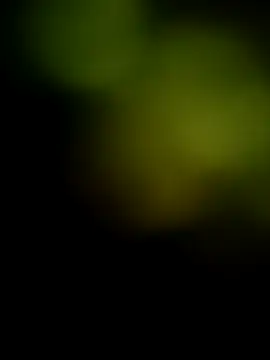 samlord261 online show from December 20, 2024, 2:48 pm