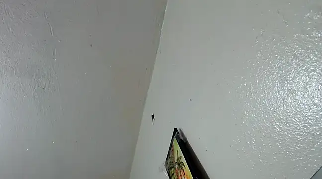 Snapshot of katery_wok11 chatting on March 21, 2025, 7:33 am katery wok11 online show from March 21, 2025, 7:33 am