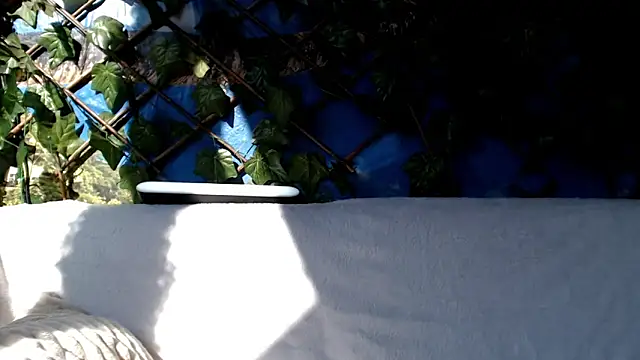 Bigboobs6930 online show from March 3, 2025, 8:41 am