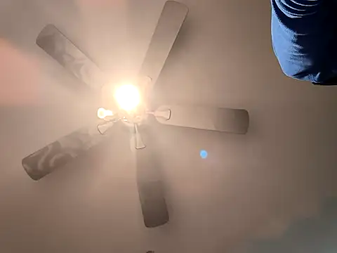 fransexdol online show from February 26, 2025, 10:26 pm