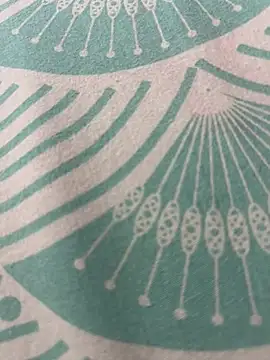 kannadatelugugirl online show from January 1, 2025, 3:13 am