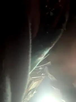 Followthepiper online show from November 2, 2025, 9:25 am