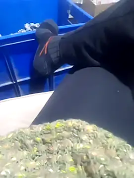 Snapshot of sevinc939 chatting on February 14, 2025, 5:19 am sevinc939 online show from February 14, 2025, 5:19 am