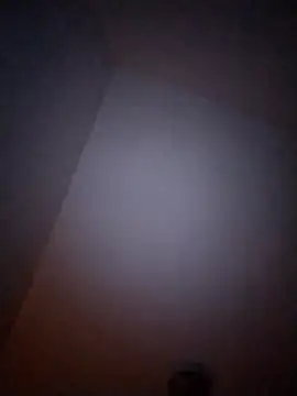 Snapshot of Treemandude chatting on January 6, 2026, 10:08 am Treemandude online show from January 6, 2026, 10:08 am