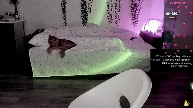 strawberry elfcat online show from February 20, 2026, 1:24 am