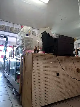 Mia Novikov online show from February 24, 2026, 10:21 pm