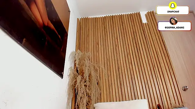 Snapshot of sofhiaa_adaams chatting on March 8, 2026, 3:54 am sofhiaa adaams online show from March 8, 2026, 3:54 am