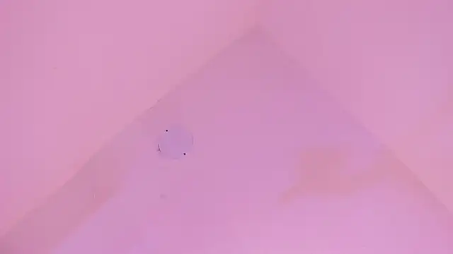 Snapshot of LoveQueen2 chatting on January 14, 2026, 11:58 am LoveQueen2 online show from January 14, 2026, 11:58 am