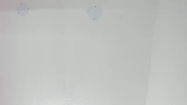 LoveQueen2 online show from September 24, 2025, 11:50 am