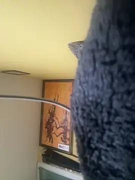 Snapshot of 111pervertido chatting on February 23, 2026, 9:10 am 111pervertido online show from February 23, 2026, 9:10 am