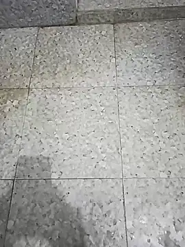 Snapshot of Tamil_Boy28 chatting on March 20, 2025, 12:54 pm Tamil Boy28 online show from March 20, 2025, 12:54 pm