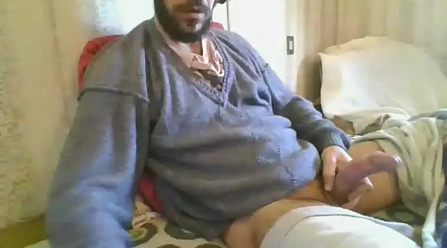 tozebrito hd online show from December 27, 2024, 10:12 am