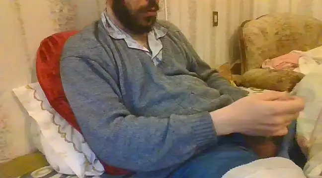 tozebrito hd online show from December 31, 2024, 5:11 am