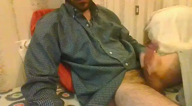 tozebrito hd online show from February 16, 2025, 1:27 pm