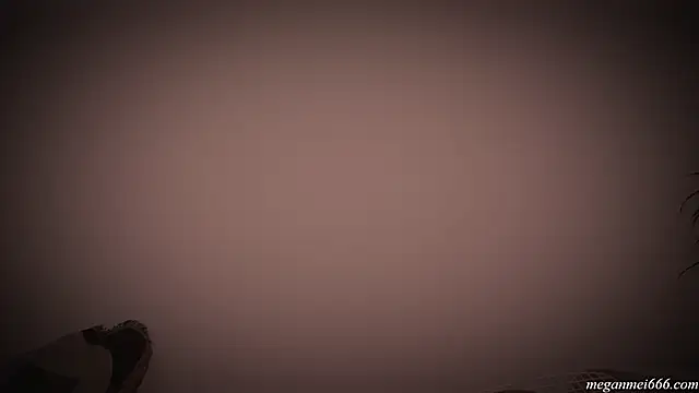 Snapshot of meganmei666 chatting on December 20, 2025, 2:58 am meganmei666 online show from December 20, 2025, 2:58 am