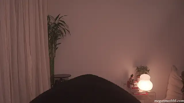 meganmei666 online show from April 21, 2026, 2:03 am