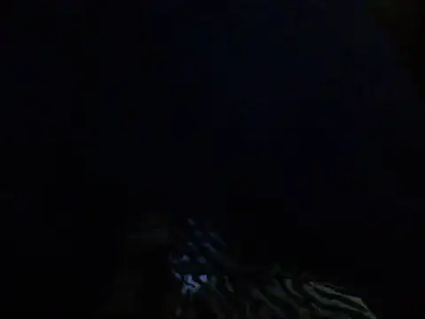 mrdemoncrowly online show from May 20, 2026, 4:53 am