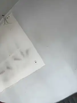 AnaRuiz online show from November 22, 2025, 3:22 pm