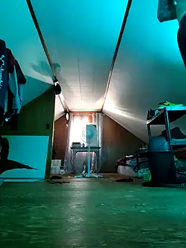 Snapshot of nicedicknicetats chatting on September 28, 2025, 9:33 pm nicedicknicetats online show from September 28, 2025, 9:33 pm