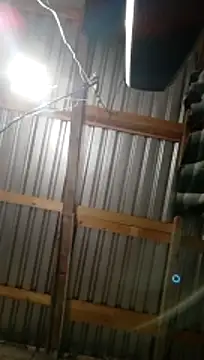 Snapshot of Moreno1813 chatting on November 5, 2025, 6:05 am Moreno1813 online show from November 5, 2025, 6:05 am