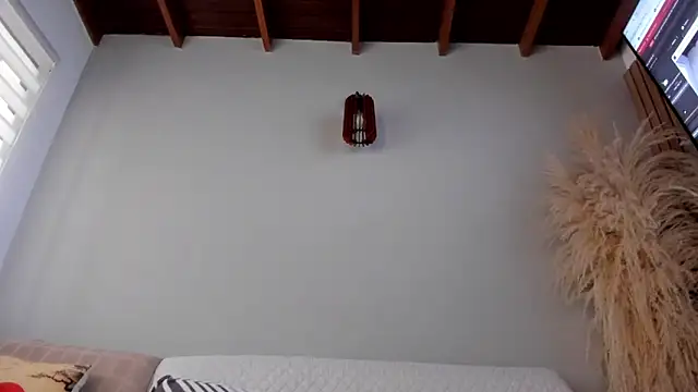 neo dimou  online show from October 25, 2025, 11:53 am