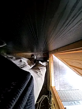 Lorent6969 online show from October 8, 2025, 3:57 pm