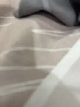 rajapo 1 online show from November 5, 2025, 3:09 am