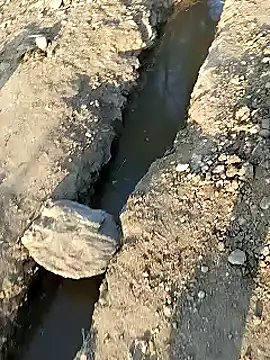 Snapshot of Monster_Bigdick chatting on January 9, 2025, 11:36 am Monster Bigdick online show from January 9, 2025, 11:36 am