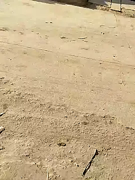 Snapshot of Monster_Bigdick chatting on December 8, 2024, 3:50 am Monster Bigdick online show from December 8, 2024, 3:50 am