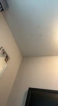 Phattpinktaco online show from February 26, 2025, 7:21 pm