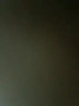 fieltoprj1 online show from February 27, 2026, 1:06 am