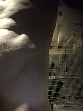 Snapshot of Josele1981 chatting on May 1, 2026, 8:47 pm Josele1981 online show from May 1, 2026, 8:47 pm