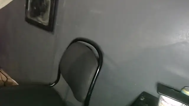 Dogz n daugthers online show from February 2, 2025, 12:19 am